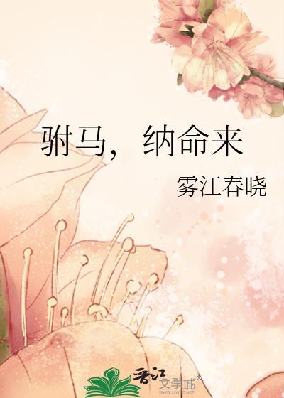 驸马，纳命来封面