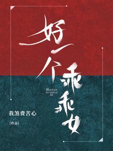 好一个乖乖女封面
