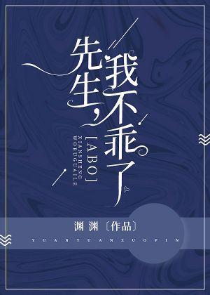 先生,我不乖了封面