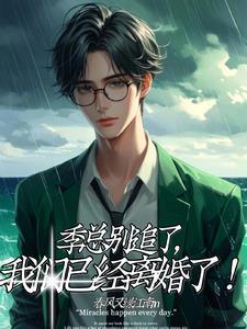 季总别追了,我们已经离婚了封面