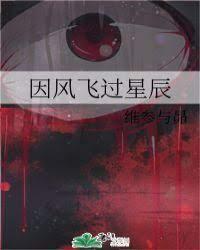 因风飞过星辰封面