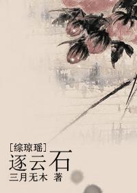 [综琼瑶]逐云石封面
