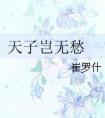 天子岂无愁封面