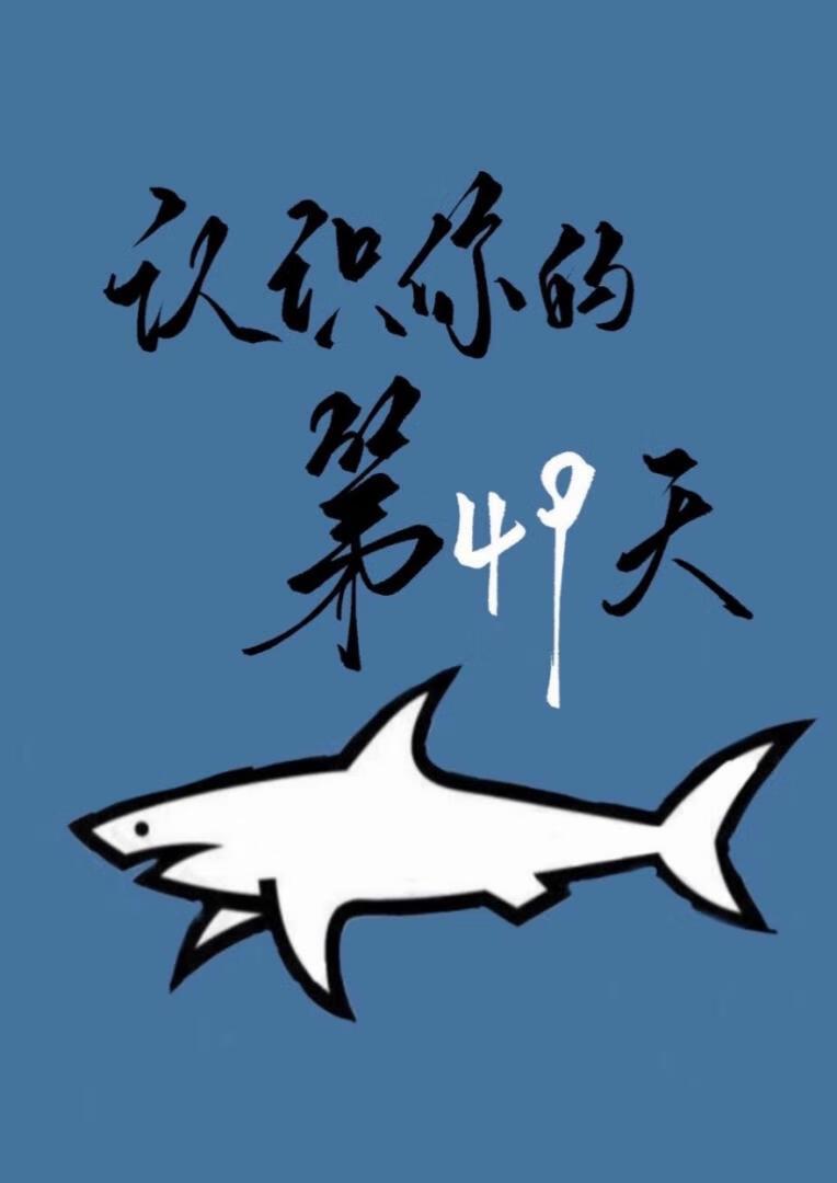 认识你的第49天封面