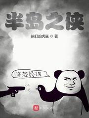 半岛之侠封面