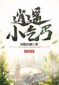 逍遥小乞丐封面