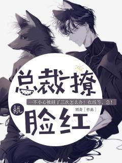 总裁一撩，就脸红封面