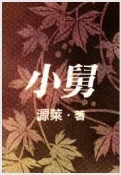 小舅封面