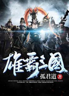 雄霸三国封面