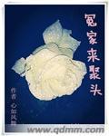 冤家来聚头封面