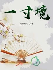 一寸境封面