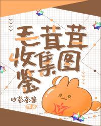 沙茶茶酱封面