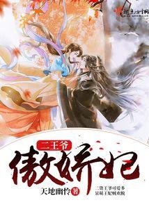 二王爷傲娇妃封面