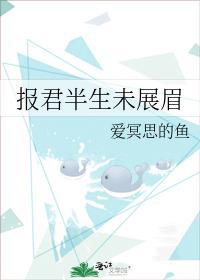 报君半生未展眉封面