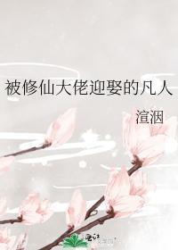 被修仙大佬迎娶的凡人封面
