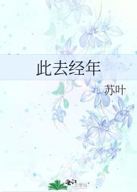 此去经年封面