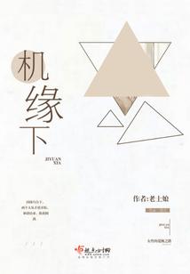 机缘下封面