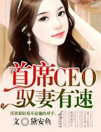 首席CEO，驭妻有速封面