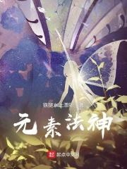 元素法神封面