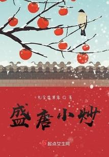 盛唐小炒封面