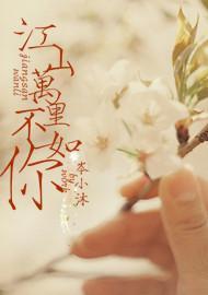 江山万裏不如你封面