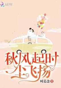 秋风起时尘飞扬封面