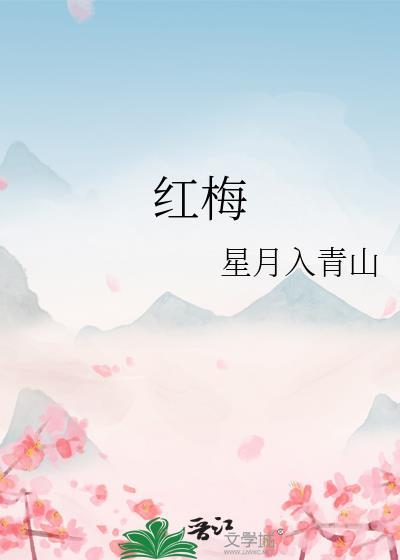 红梅封面