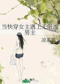 当快穿女主遇上无限流男主唐辛秦淮燃封面