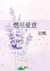 燃尽爱意封面
