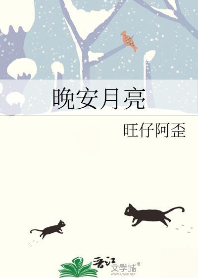 晚安月亮封面