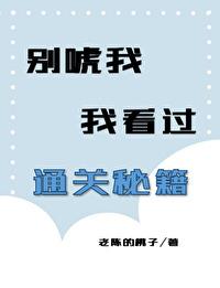 别唬我，我看过通关秘籍封面