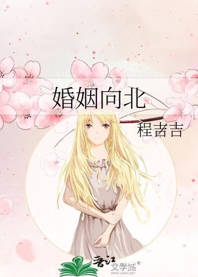 婚姻向北封面