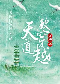 红楼之天道被穿越封面