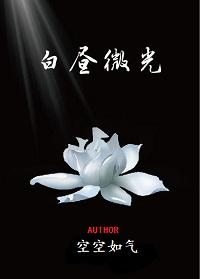 白昼微光封面