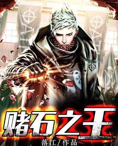 赌石之王封面