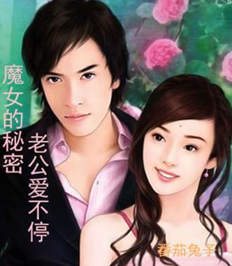 魔女的秘密：老公爱不停封面