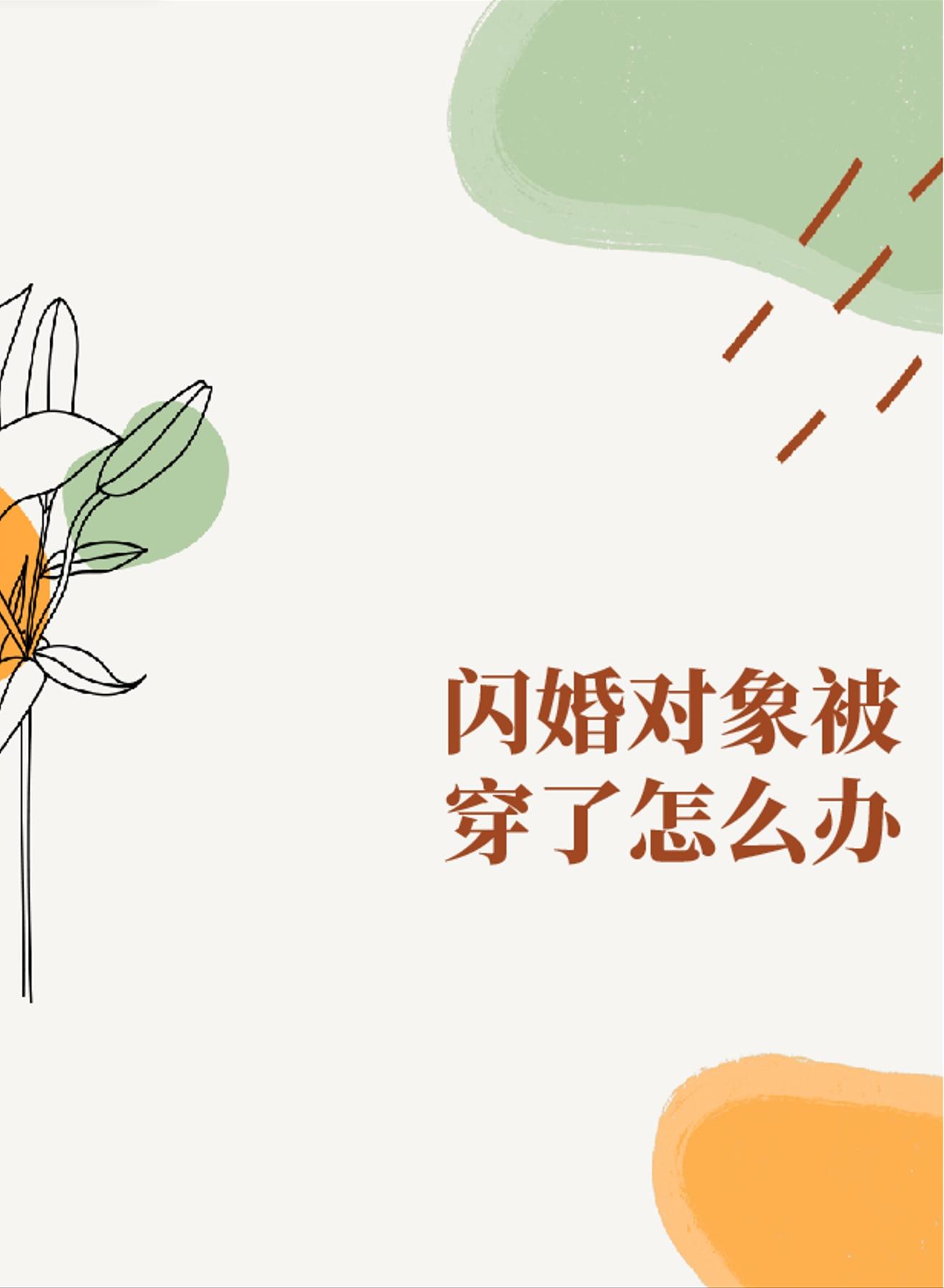闪婚对象被穿了怎么办封面