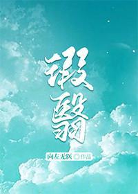 瑕翳封面