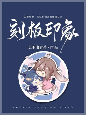 刻板印象封面