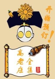 高老庄封面