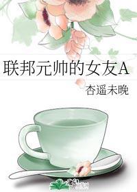 穿越时空联邦元帅的女友A封面