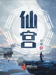 仙宫封面
