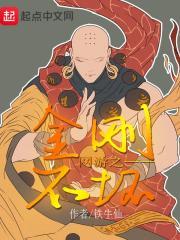 网游之金刚不坏封面