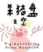 杀猪盘之恋封面