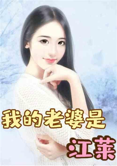 都市：我的老婆是江莱封面
