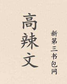 高辣文封面