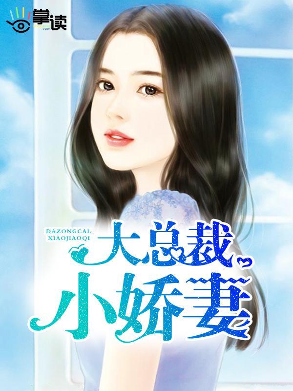 大总裁,小娇妻封面