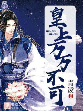 皇上,万万不可封面