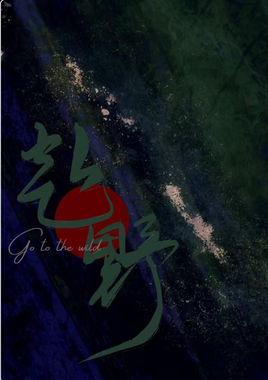 赴野封面
