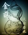 金葫封面